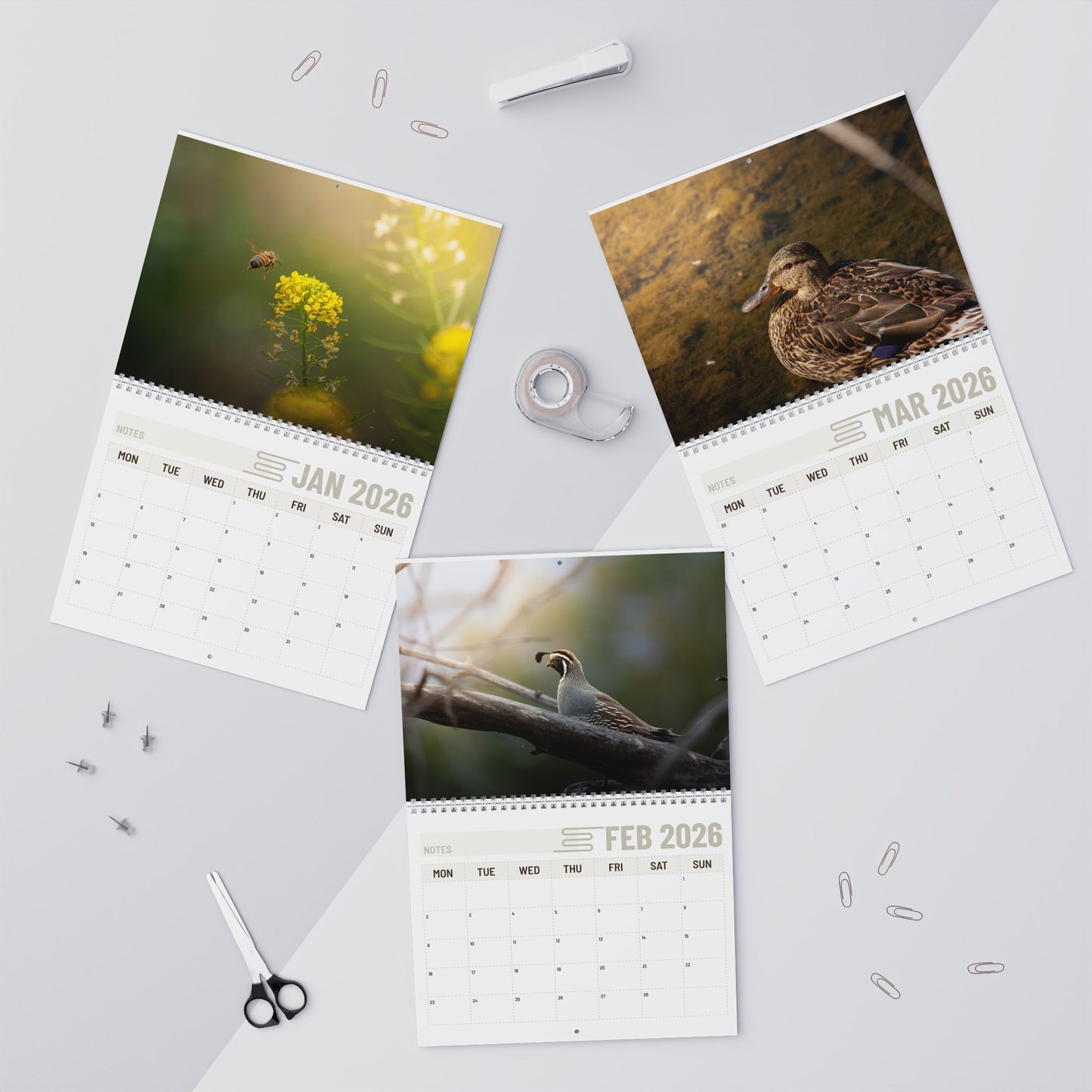 2026 Wildlife Photos Wall Calendar — Wildlife Photos Monthly Planner