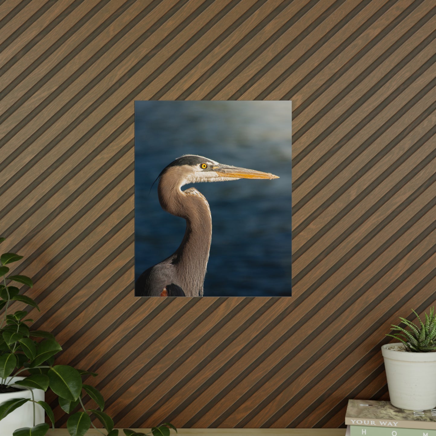 The Great Blue Heron - Wildlife Photo