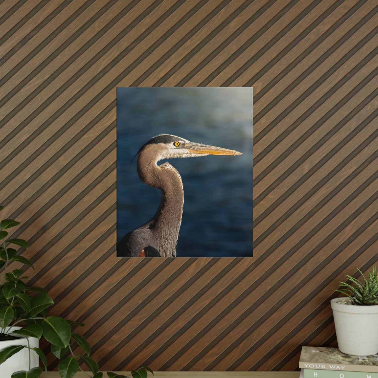 The Great Blue Heron - Wildlife Photo