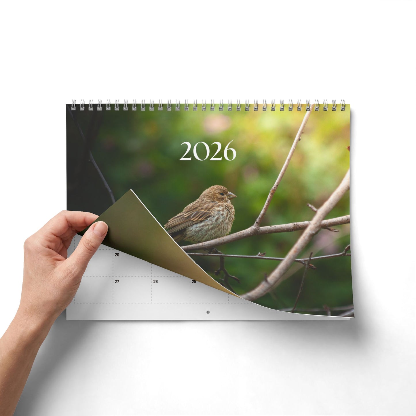 2026 Wildlife Photos Wall Calendar — Wildlife Photos Monthly Planner